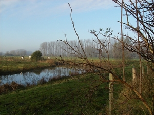 Zwijnaarde November 2011 015