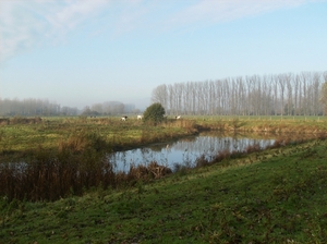 Zwijnaarde November 2011 016