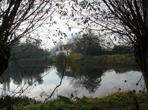 Zwijnaarde November 2011 017