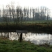 Zwijnaarde November 2011 020