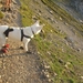 20110817 03a IMG_1196 Zugspitze