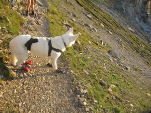 20110817 03a IMG_1196 Zugspitze