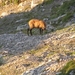 20110817 03b IMG_1191 Zugspitze