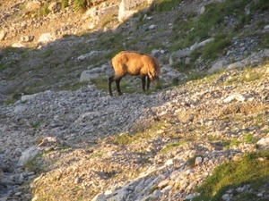 20110817 03b IMG_1191 Zugspitze