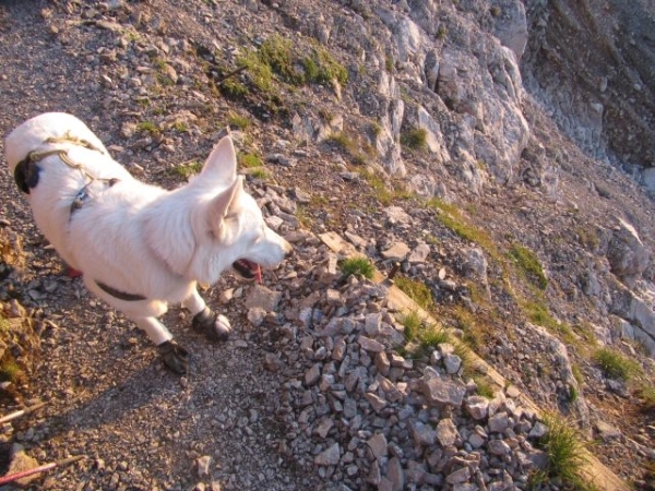 20110817 04 IMG_1207 Zugspitze