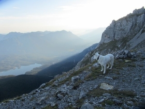 20110818 10 IMG_1246 Zugspitze