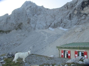 20110818 11 IMG_1249 Zugspitze