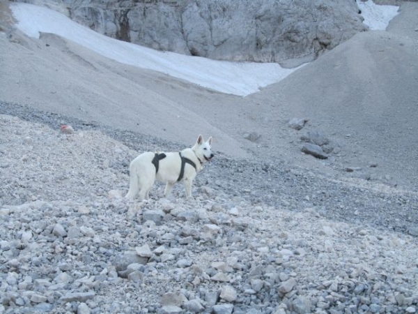 20110818 14 IMG_1262 Zugspitze