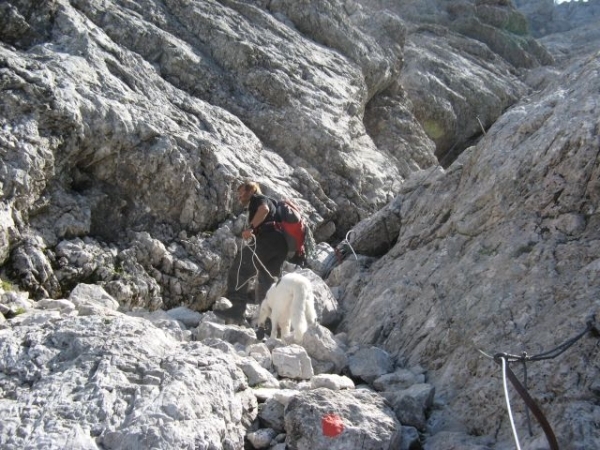 20110818 35 IMG_0273 Zugspitze