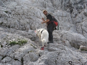 20110818 38 IMG_0278 Zugspitze