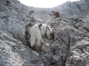 20110818 42 IMG_0282 Zugspitze