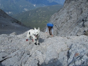 20110818 44 IMG_1283 Zugspitze