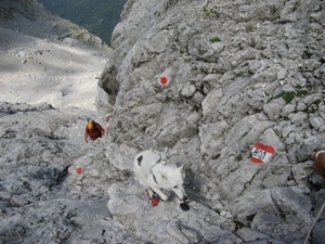 20110818 45 IMG_0287 Zugspitze