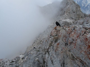 20110818 87 IMG_1347 Zugspitze