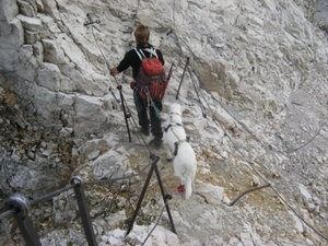 20110818 89 IMG_0339 Zugspitze