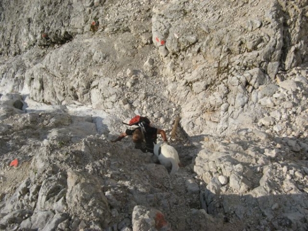 20110818 97 IMG_0358 Zugspitze
