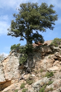 Col de Bavella