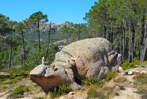 Col de Bavella