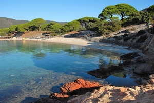 Strand van Palombaggia Porto-Vecchio