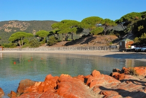 Strand van Palombaggia Porto-Vecchio