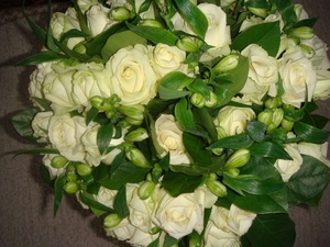 DSC02976