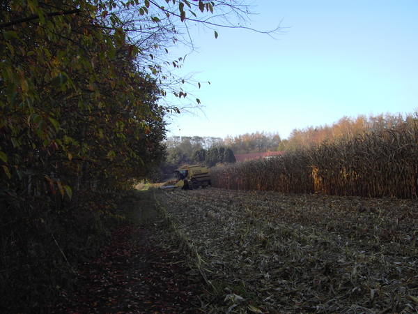 PICT0003