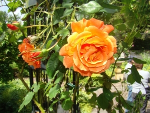 DSC05152