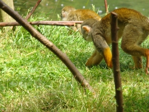 DSC05193