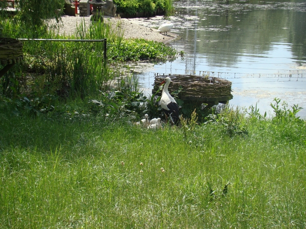 DSC05278