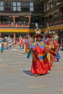IMG_7581