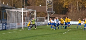 21kopie