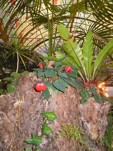 DSCN0995