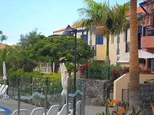 foto s tenerife 007