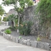 foto s tenerife 012