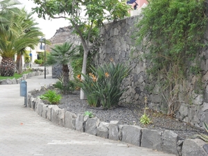 foto s tenerife 012
