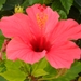 foto s tenerife 026