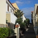 foto s tenerife 028
