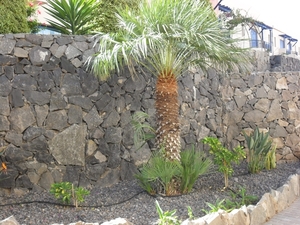 foto s tenerife 036
