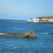 foto s tenerife 044