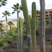 foto s tenerife 046
