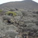 foto s tenerife 051