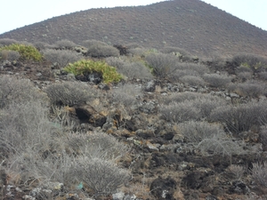 foto s tenerife 051