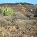 foto s tenerife 052