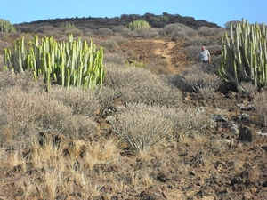 foto s tenerife 052