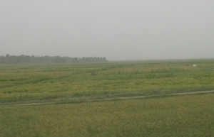 DSCN0814