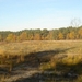 DSC00008