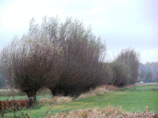 ursel uilenspiegelwandeling