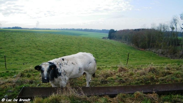 wandeling marche Adeps Anseremme