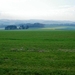 2011_11_20 Anseremme 064