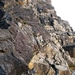 2011_11_20 Anseremme 076